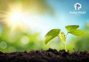 tieu chuan moi truong