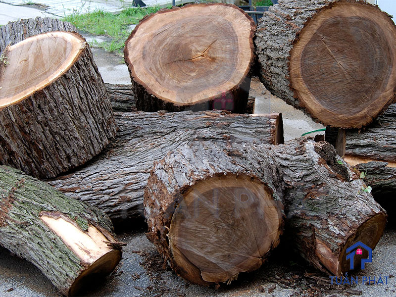 Gỗ óc chó là gỗ tự nhiên được lấy từ thân cây óc chó