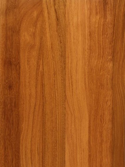 Phân biệt gỗ gõ đỏ thật