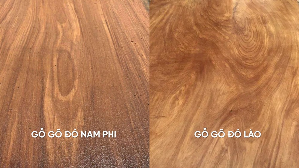 so sánh gỗ gỏ đỏ nam phi và gõ đỏ lào
