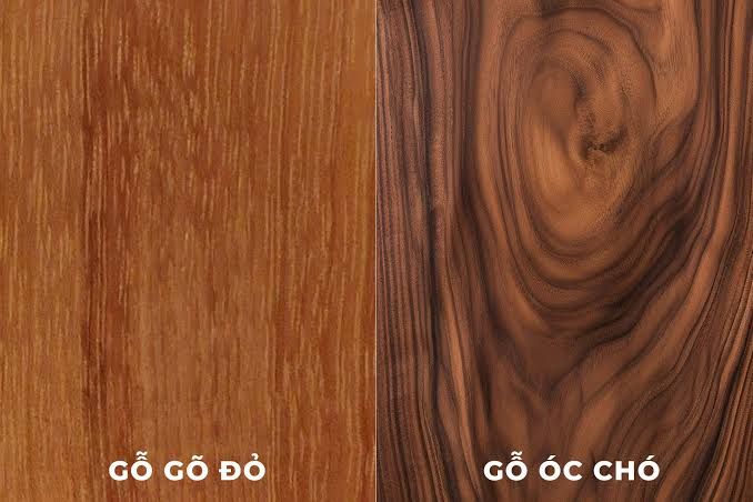 so sánh gỗ óc chó và gỗ gõ đỏ