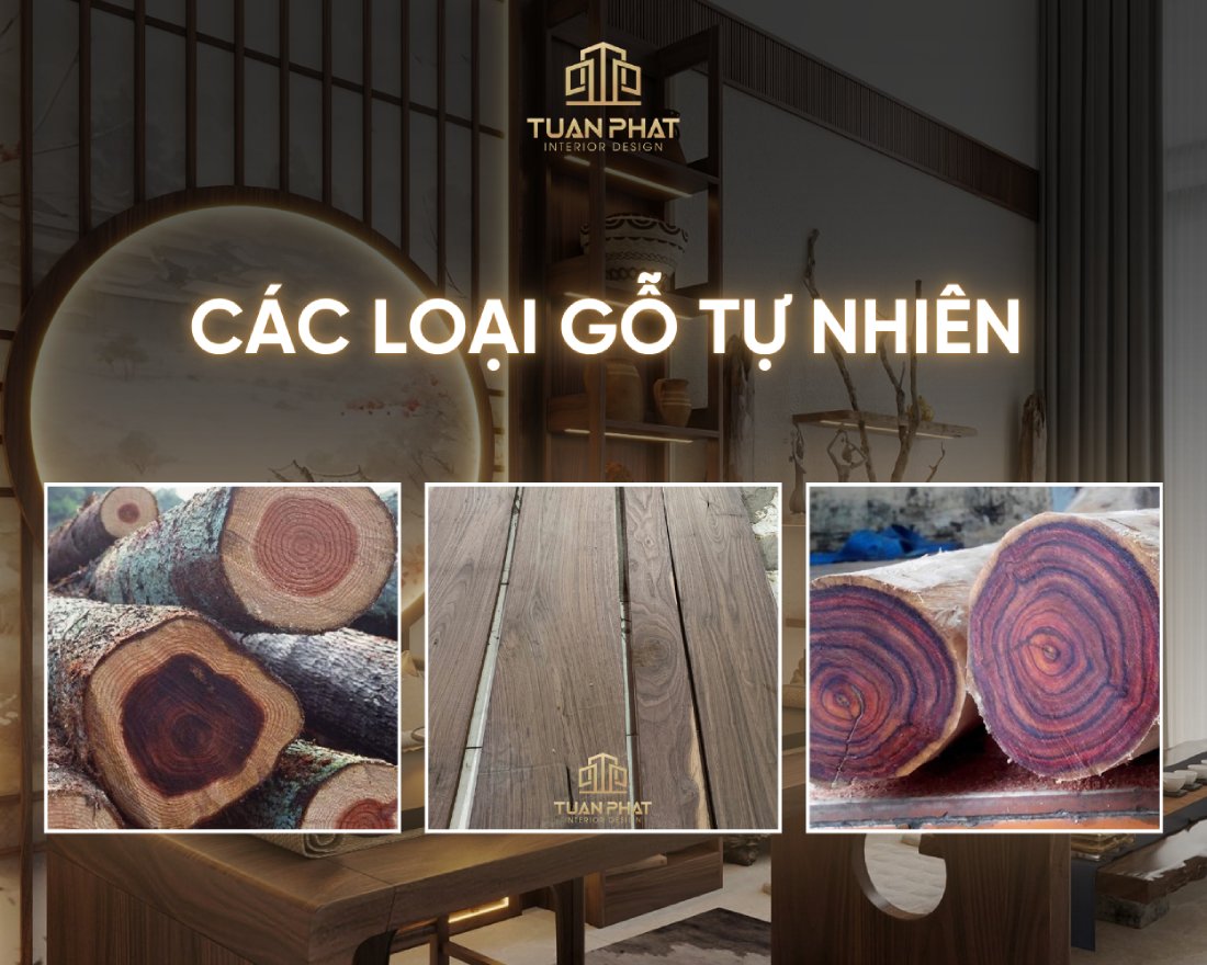các loại gỗ