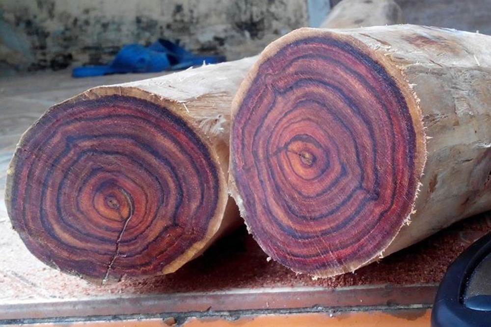 chất liệu gỗ sưa