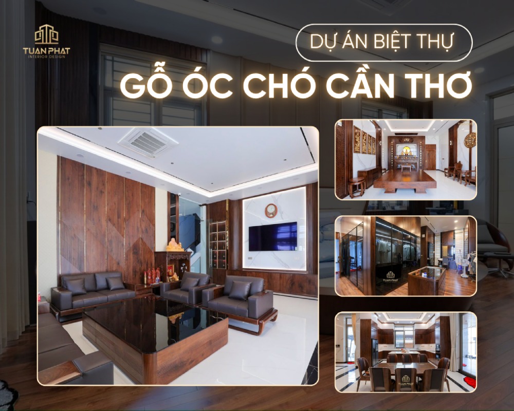 dự án thi công biệt thự gỗ óc chó tp cần thơ