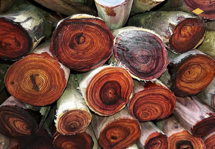 Gỗ Hoàng Đàn tự nhiên