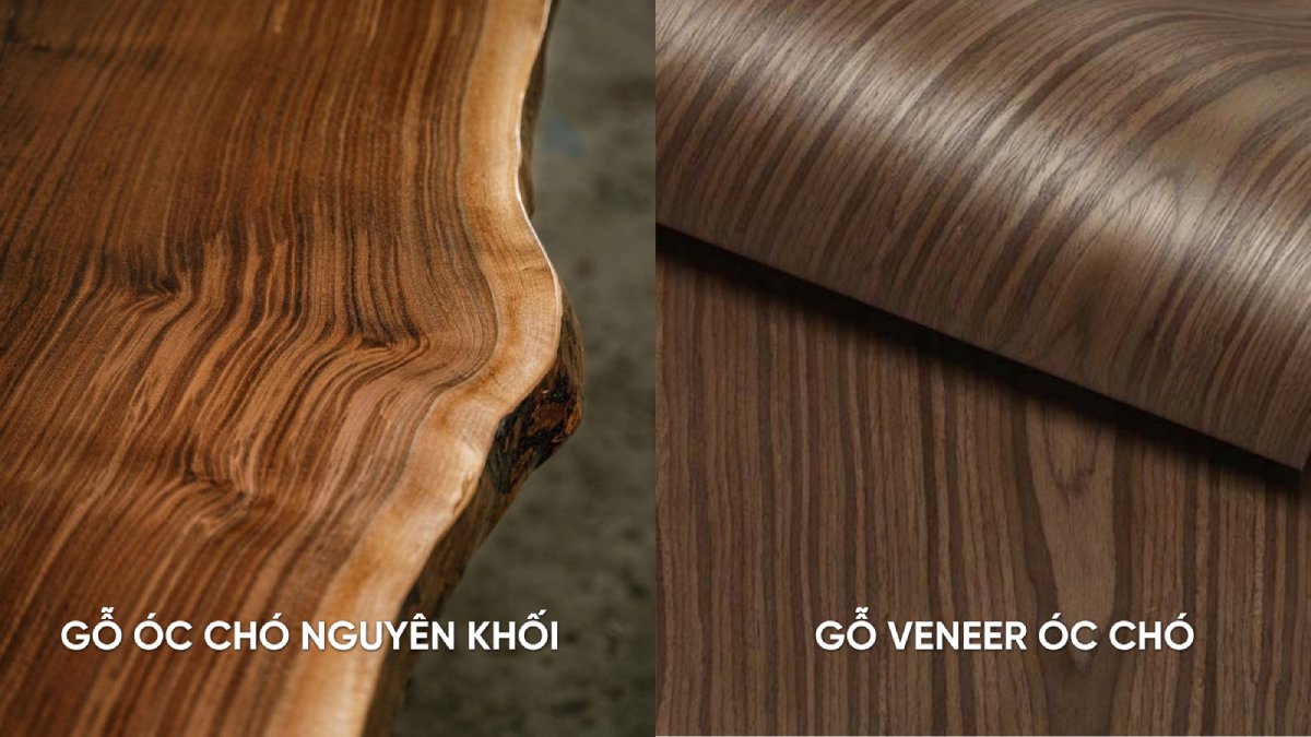 so sánh gỗ óc chó thật và Veneer