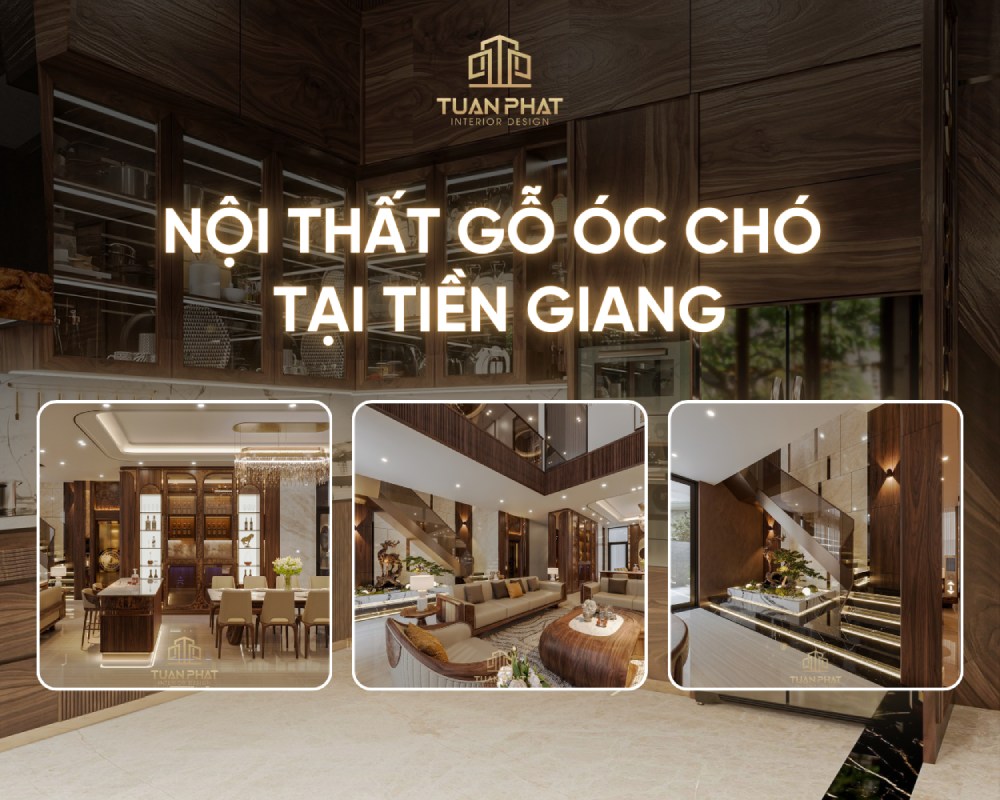 thi công nội thất gỗ óc chó tiền giang